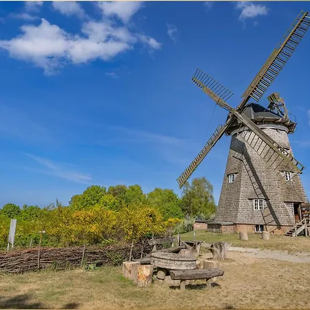 Martha 4 ゼーバート・ヘリングスドルフ