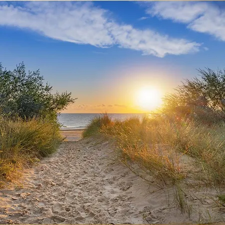 Martha 4 アパート *